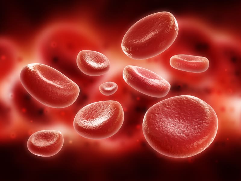 Red Blood Cells