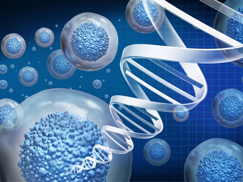 MFAT Cells